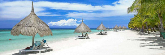 PTTA GATHERING 2023!